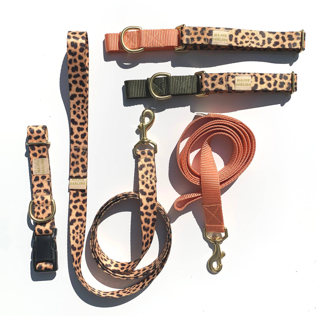 Leopard Print Leash