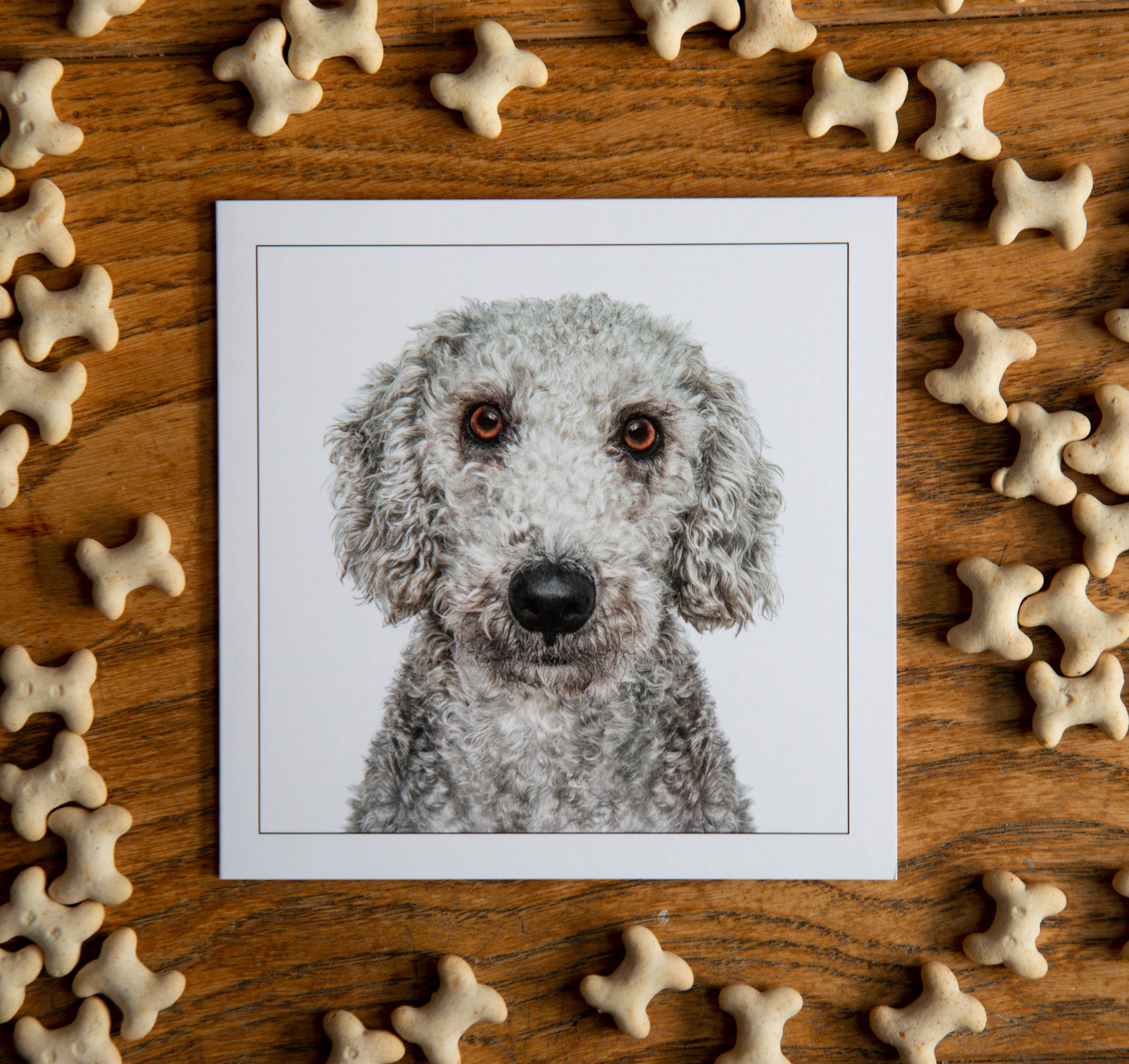 Bedlington terrier  - Dog Greeting Card