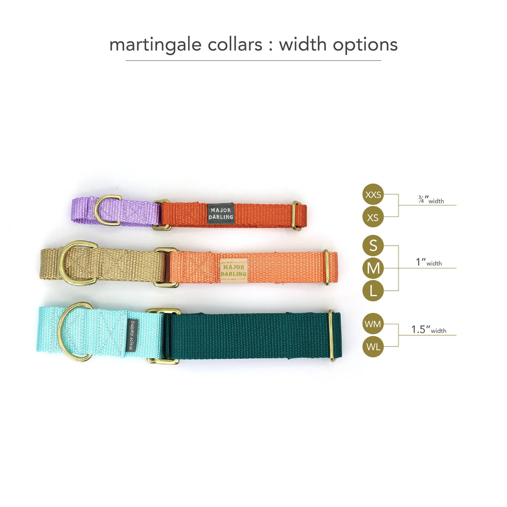 Wide Martingale Collar