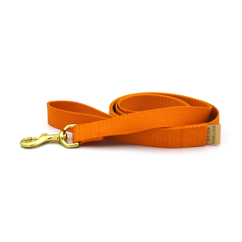 Basic Leash: Red / Standard (1" wide)