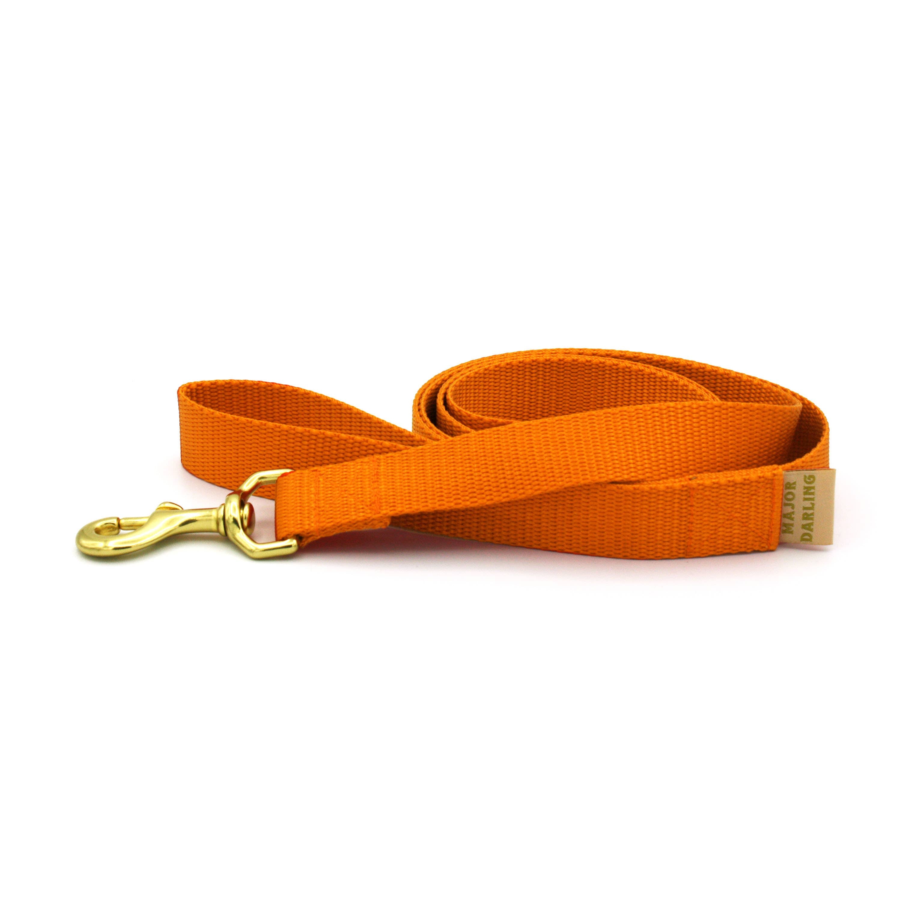 Basic Leash: Red / Standard (1" wide)