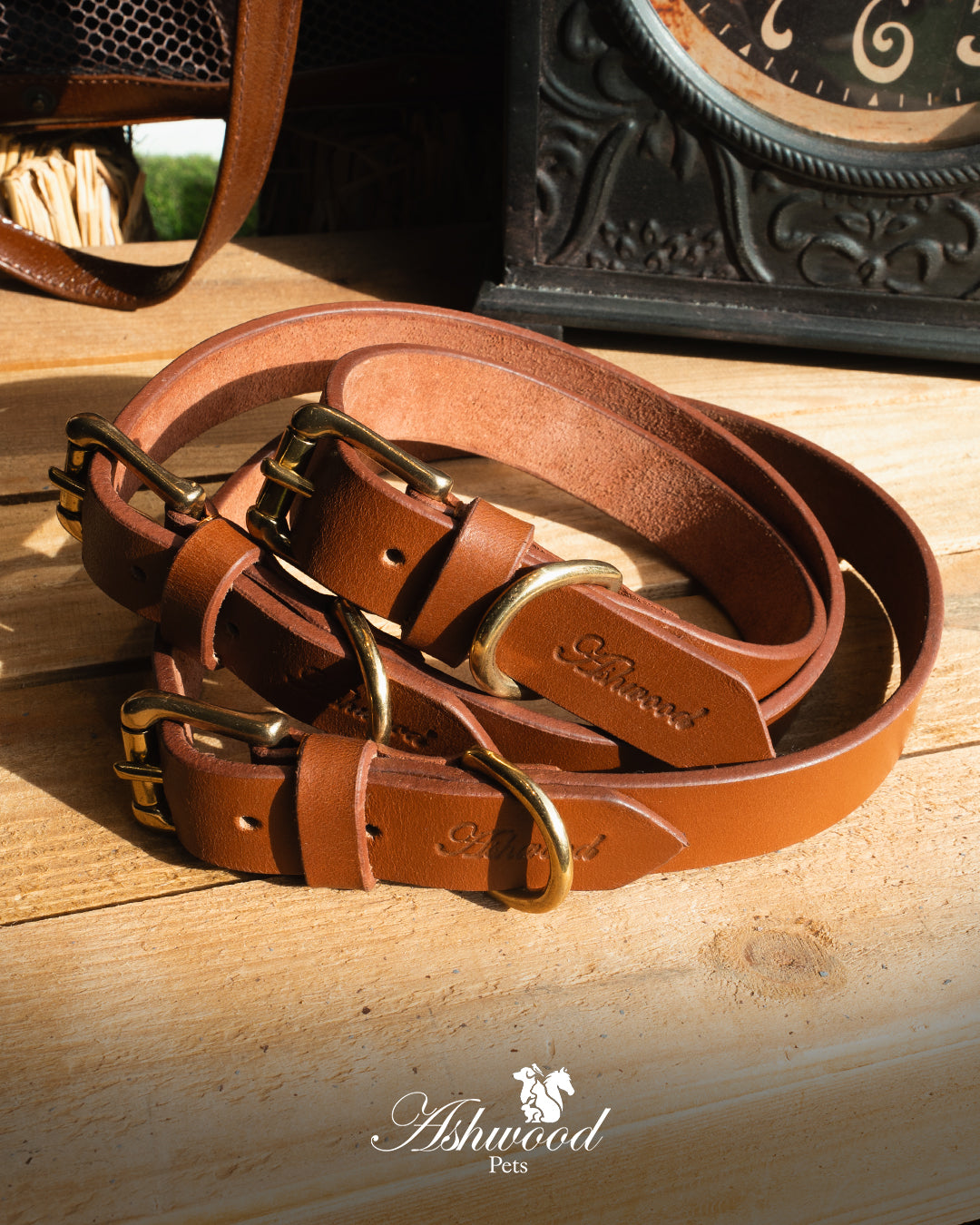 Leather Dog Collar- Signature Range