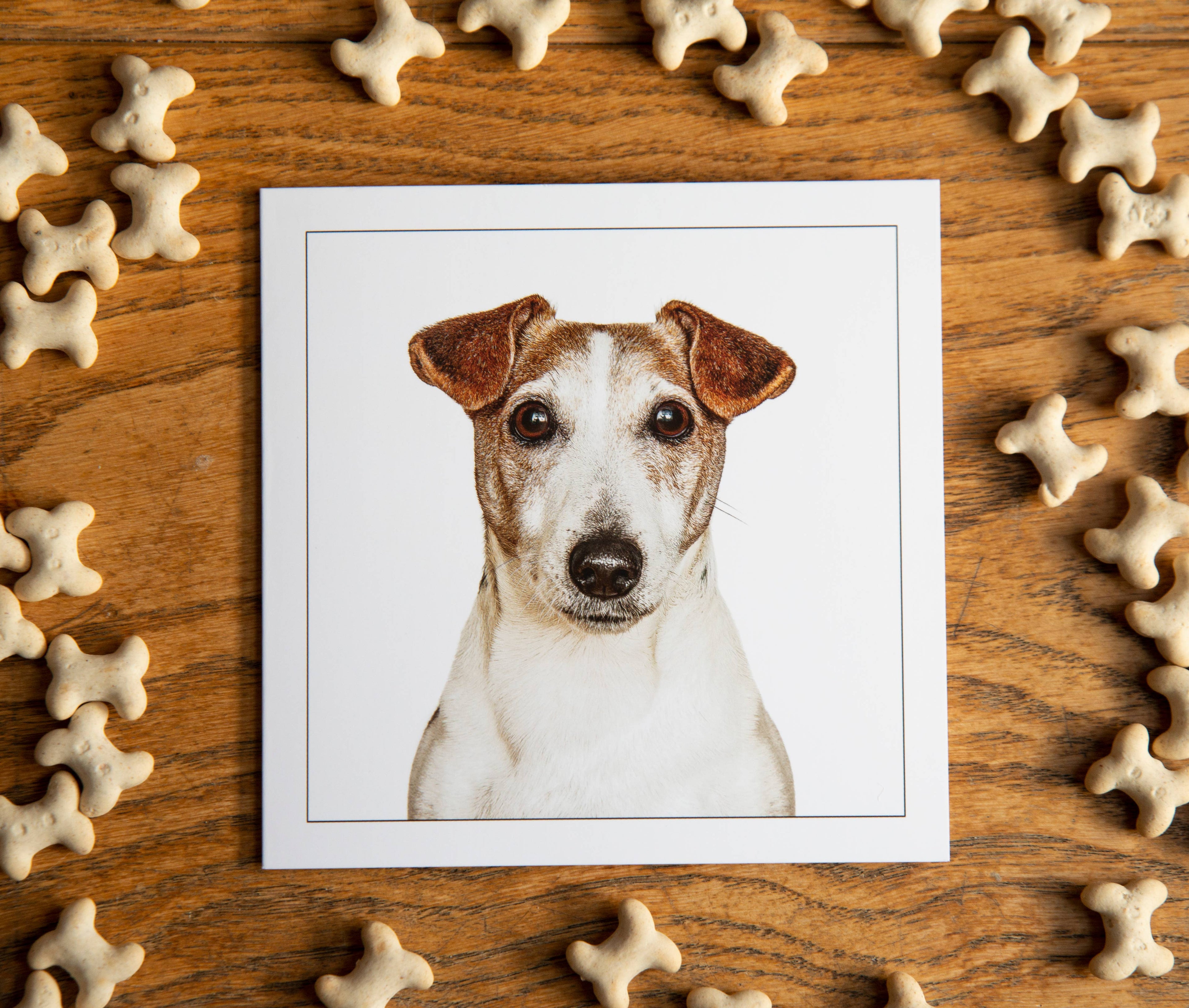 Jack russel terrier - Dog Greeting Card