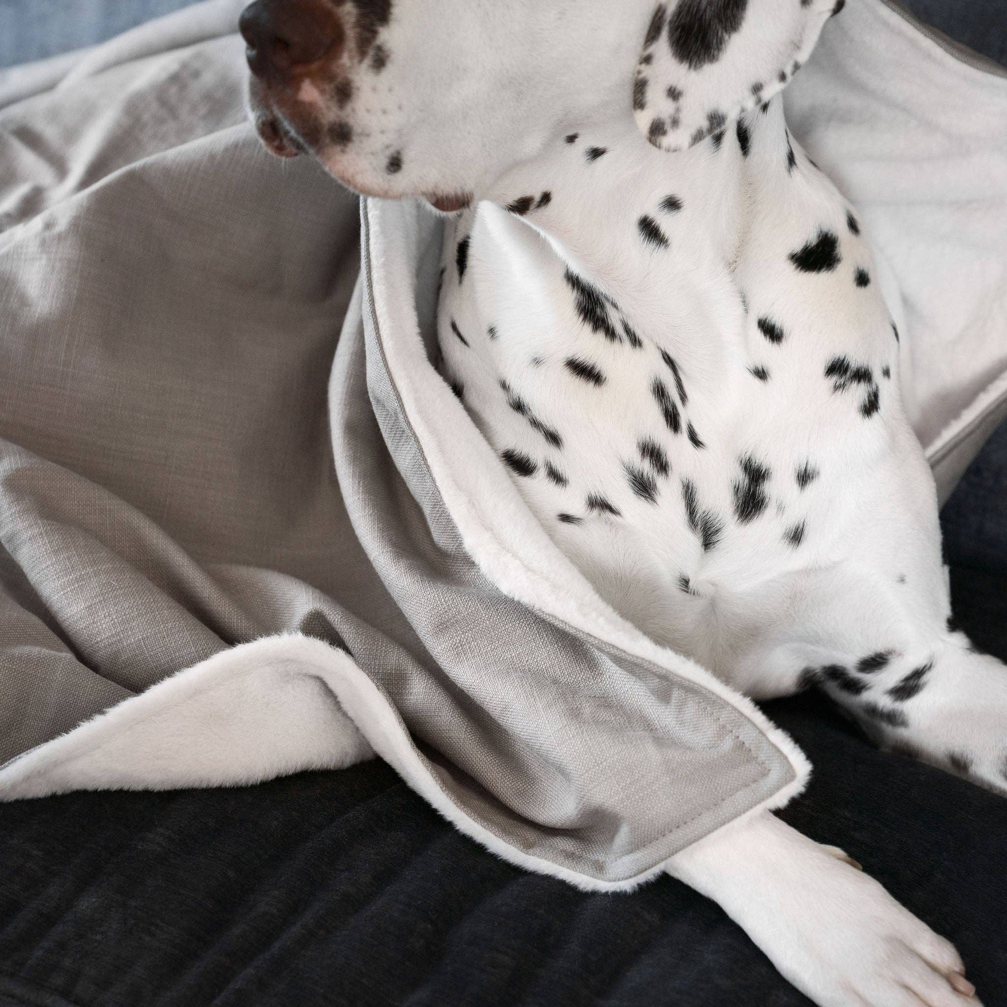 Dog & Puppy Blanket in Savanna Stone