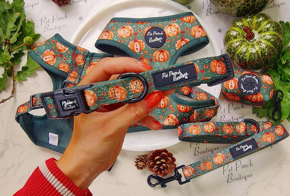 Harvest Pumpkin Patch Dog Collar - Size XS-L (autumn)
