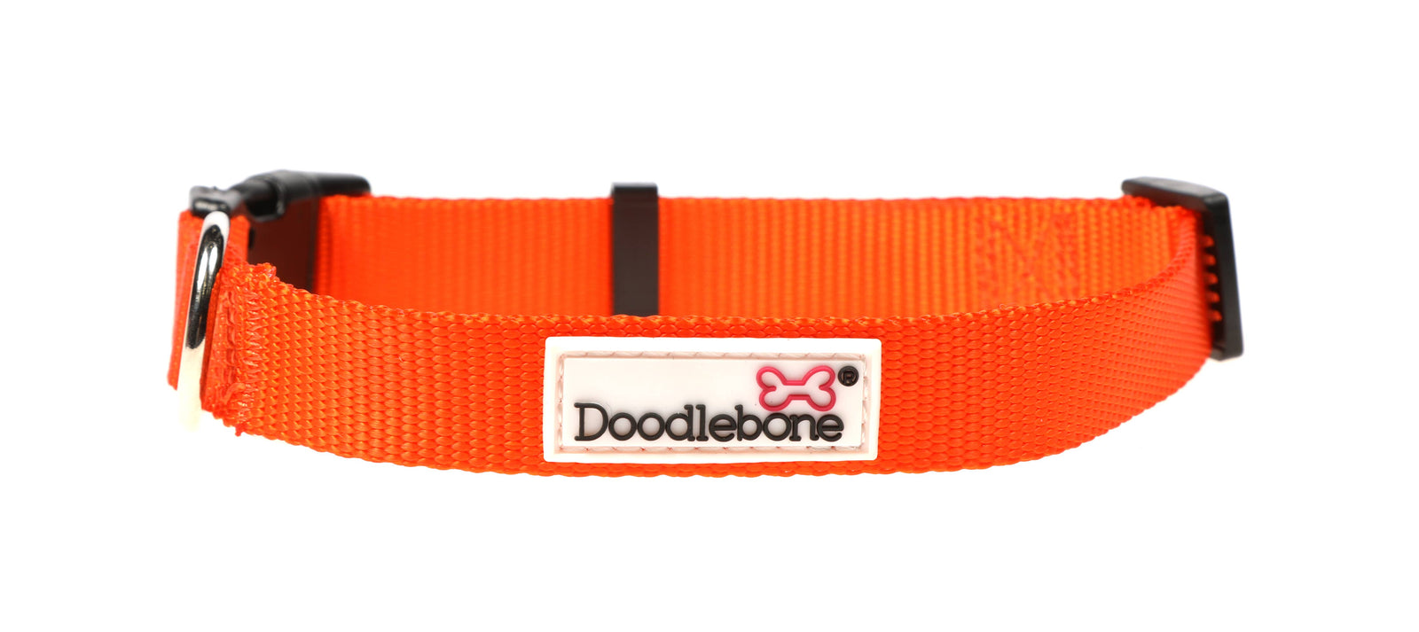 Dog Collar - Tangerine