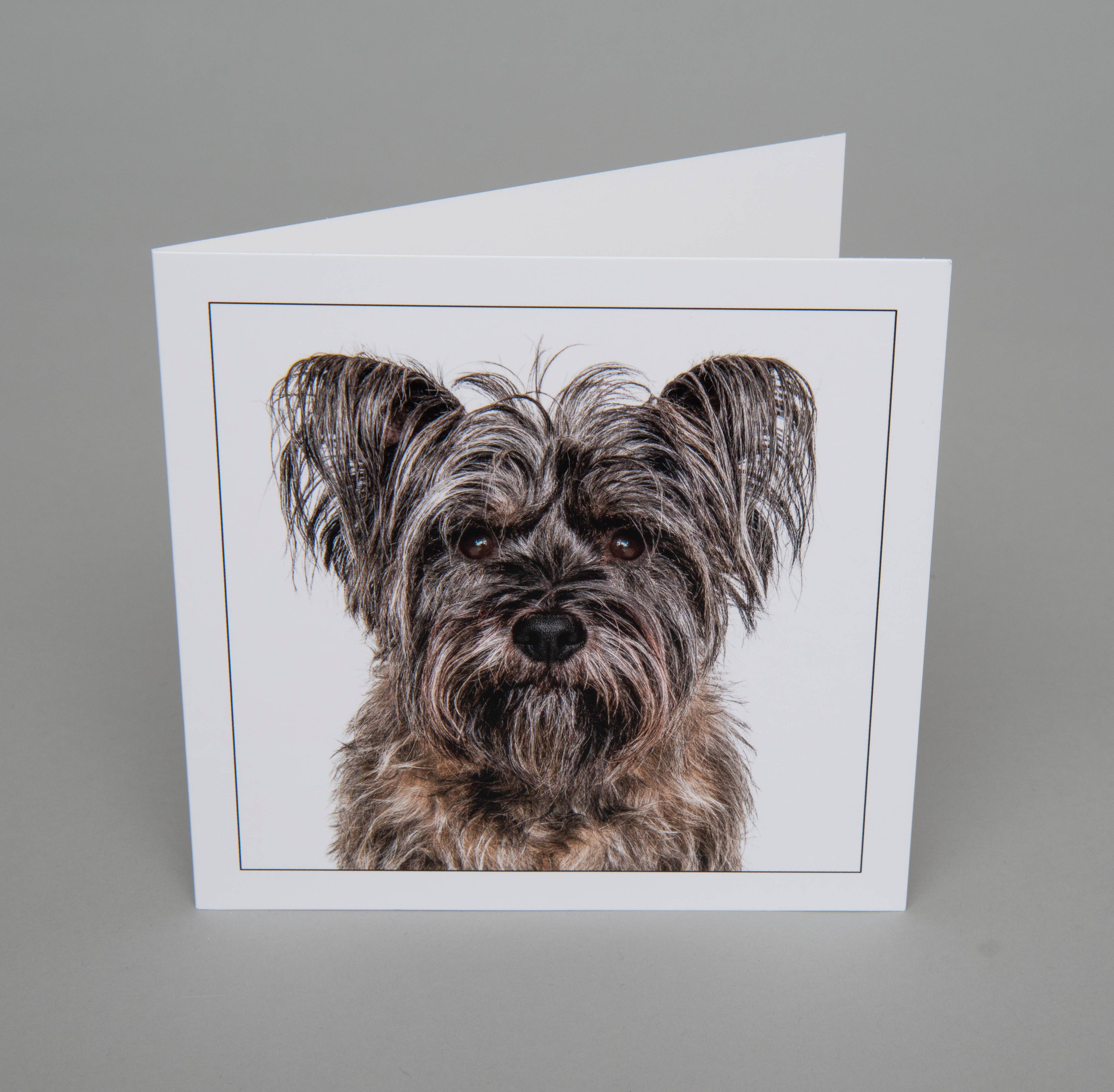 Cairn terrier - Dog Greeting Card