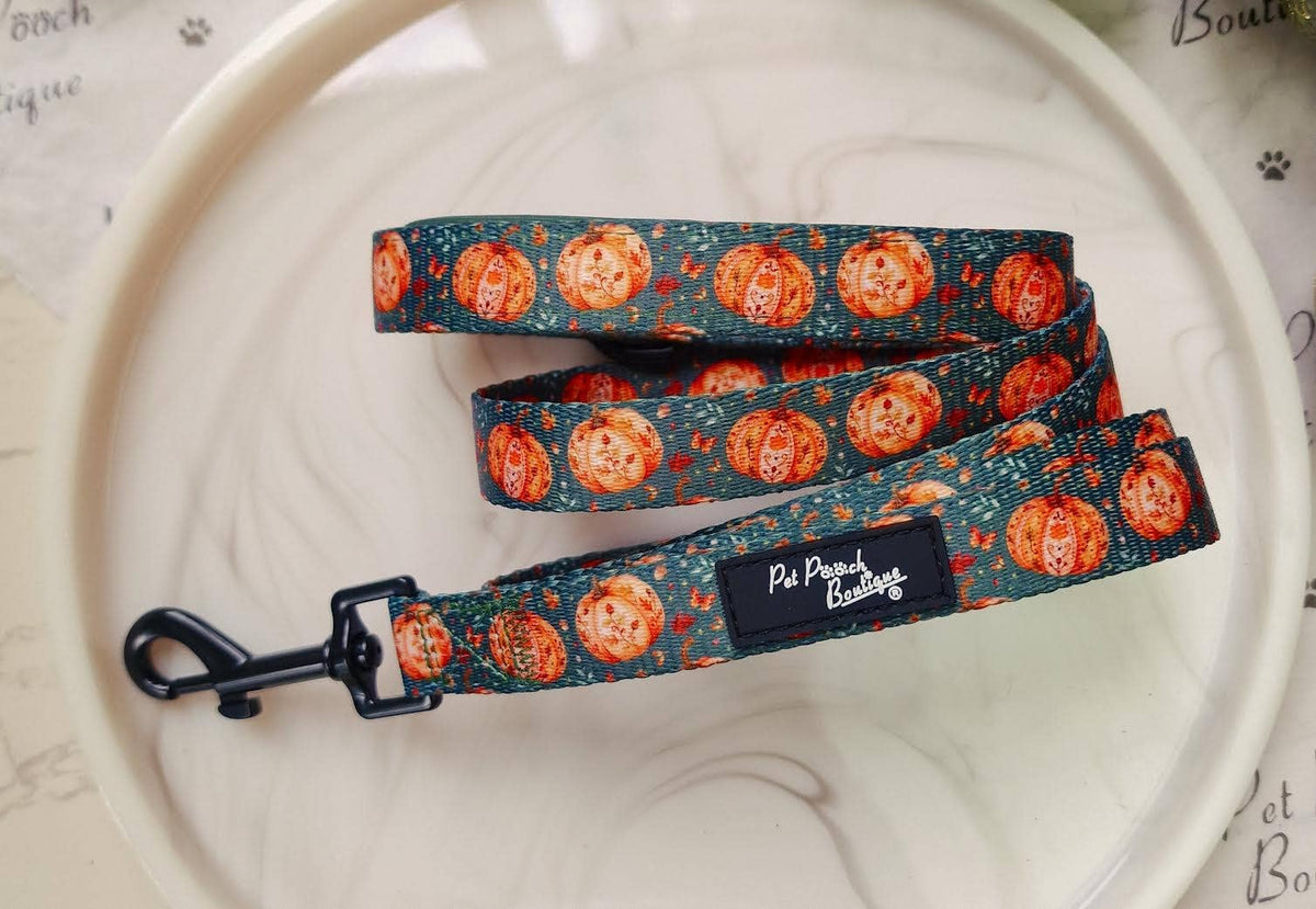 Harvest Pumpkin Patch Dog Lead (autumn)