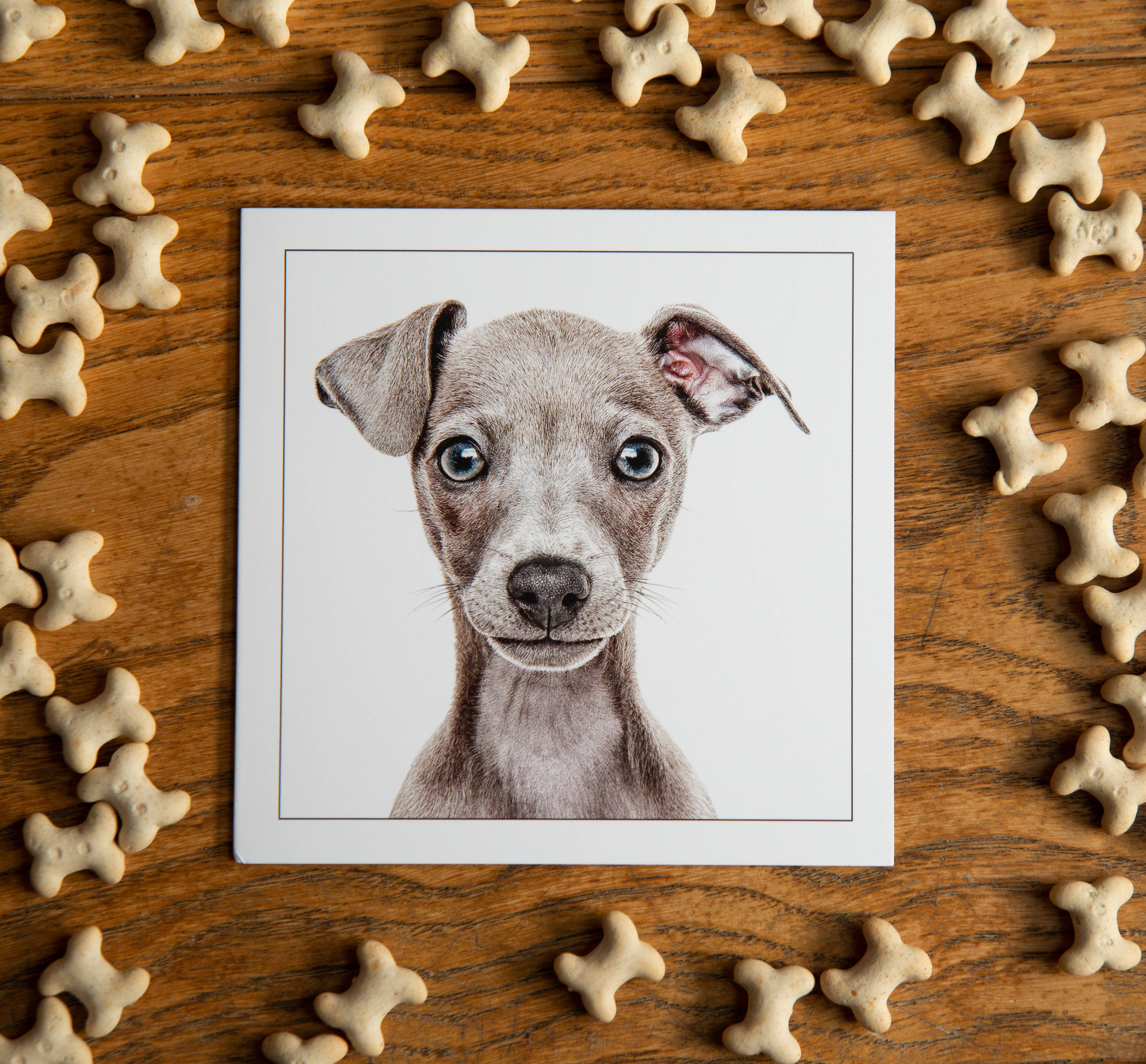 Italian Greyhound - Dog Greeting Card
