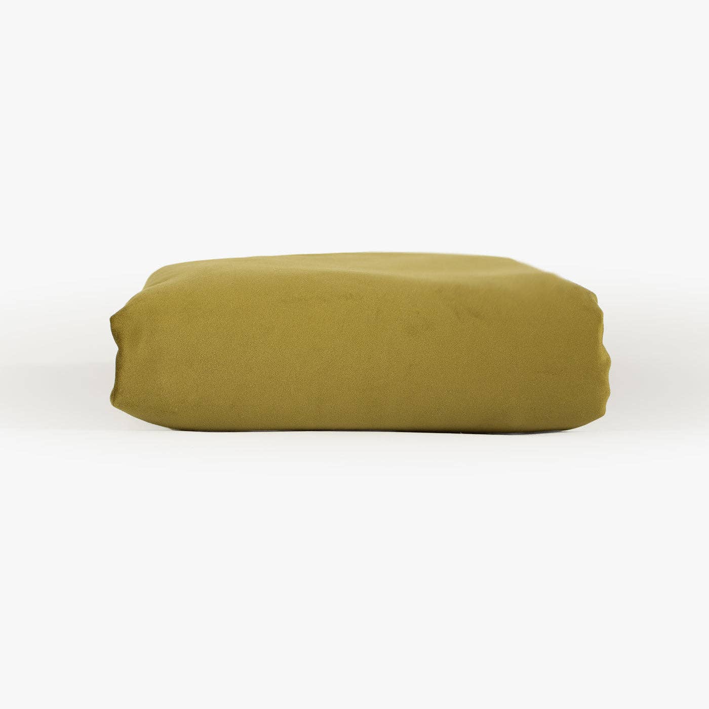 Dog & Puppy Blanket in Olive Velvet