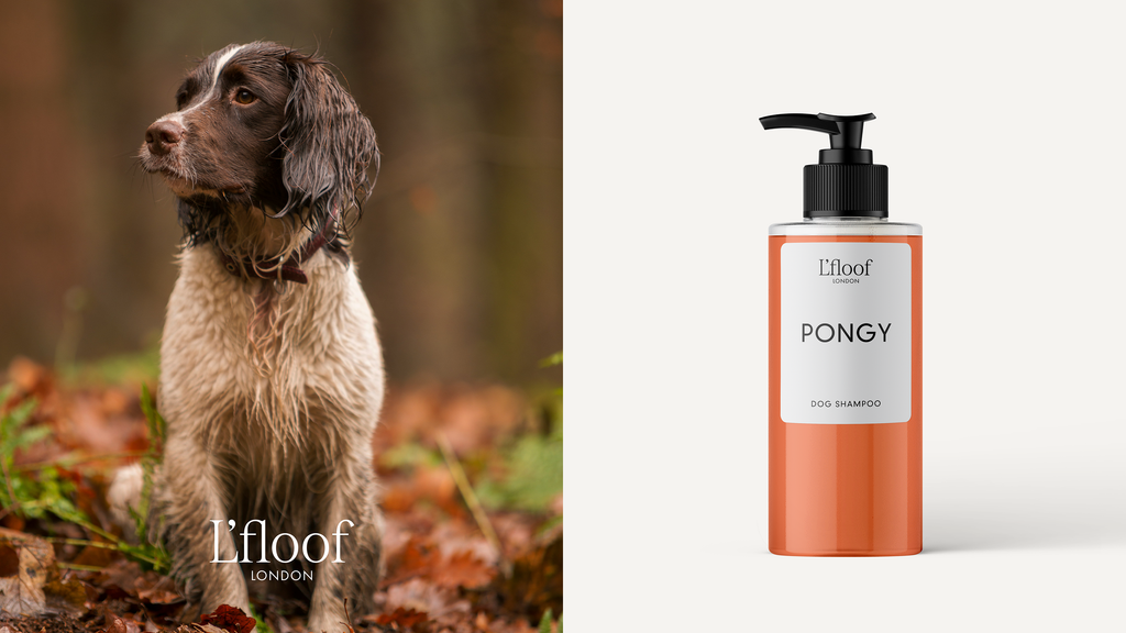 Natural Dog Shampoo - PONGY - Orange/May Chang - 300ml L'floof