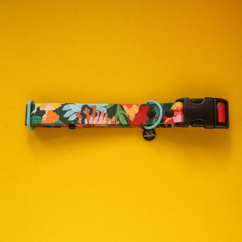 Loud and Proud Dog Collar