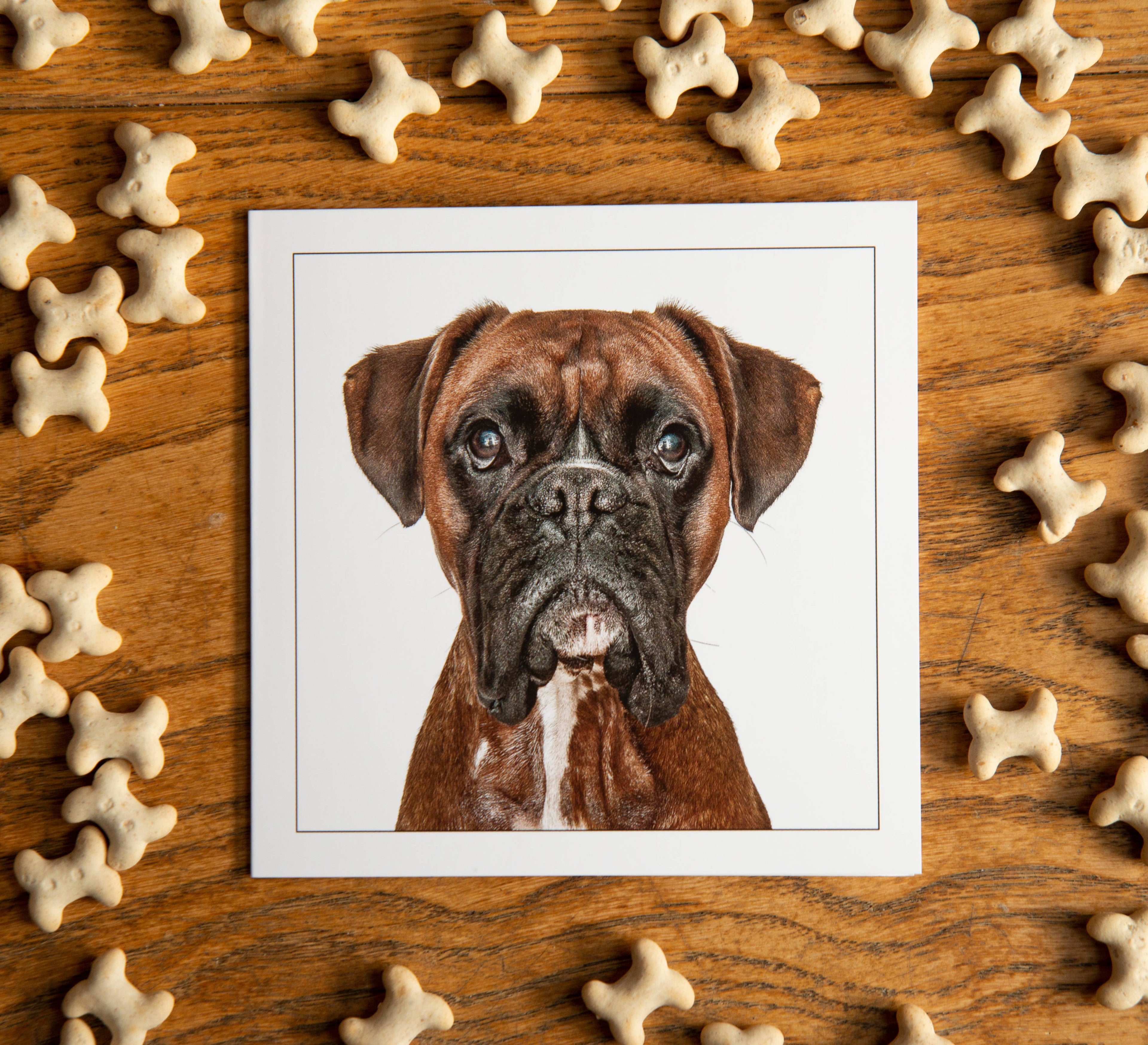 Boxer - Dog Greeting Card
