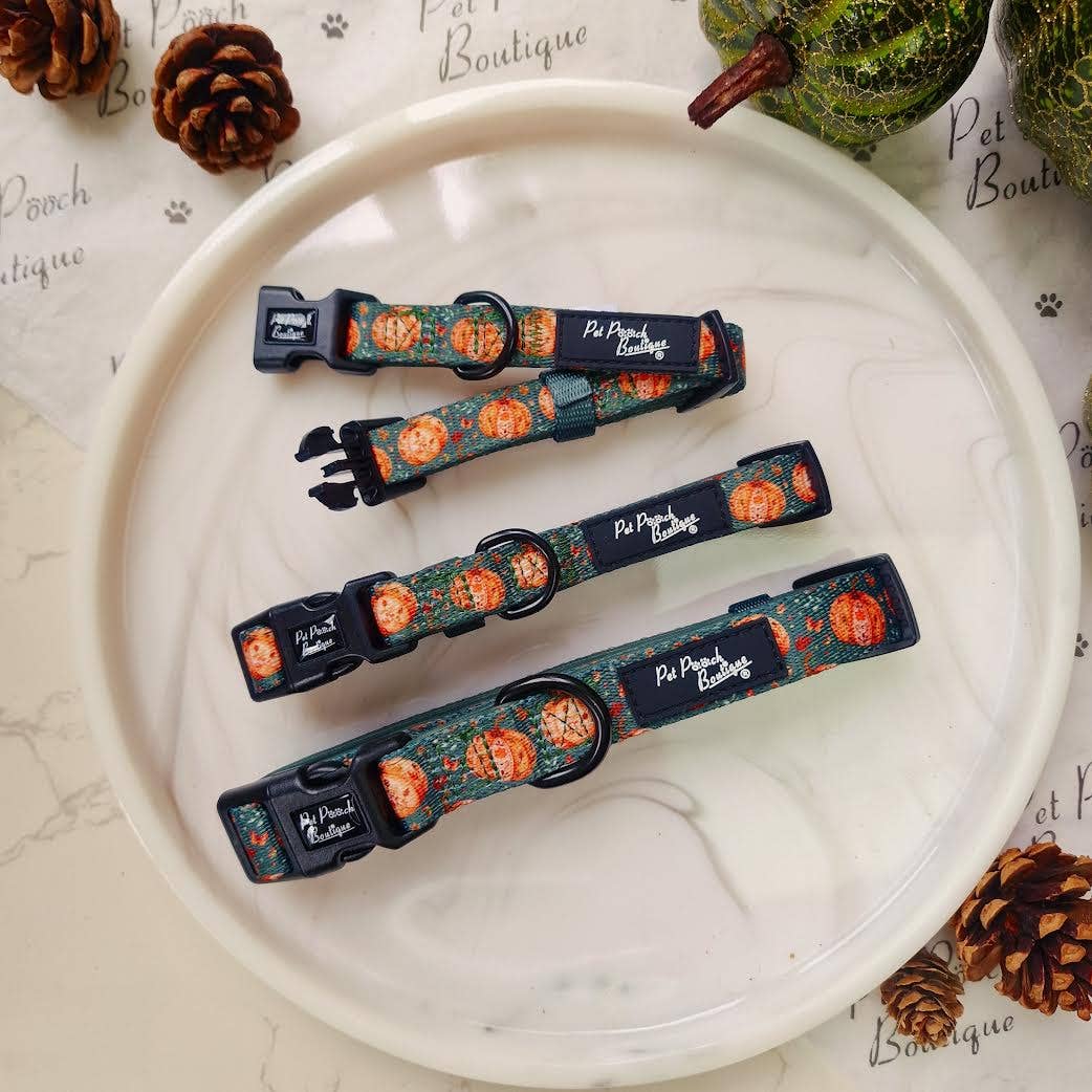 Harvest Pumpkin Patch Dog Collar - Size XS-L (autumn)