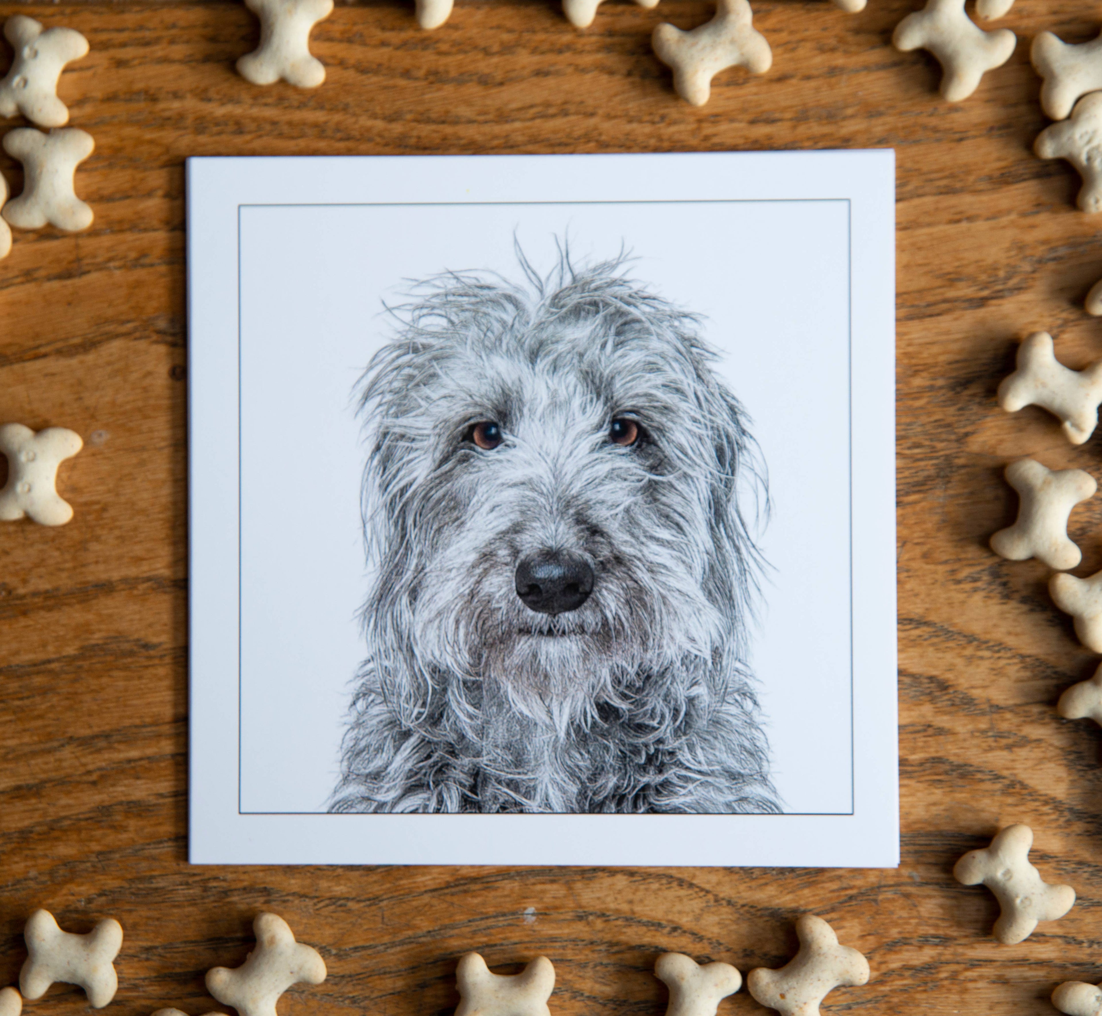 Lurcher - Dog Greeting Card