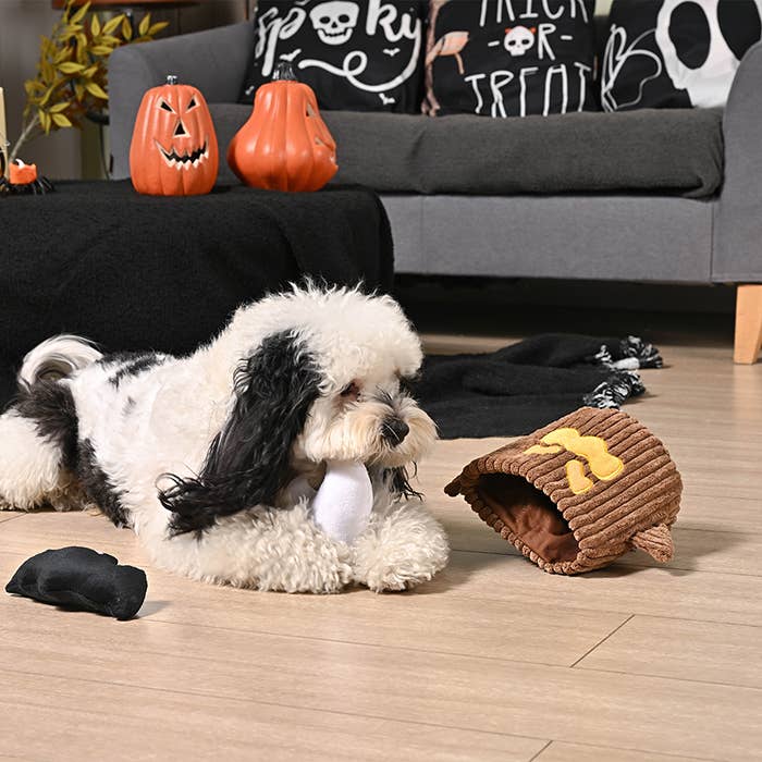 HugSmart Pet - Howloween Night | Haunted Tree