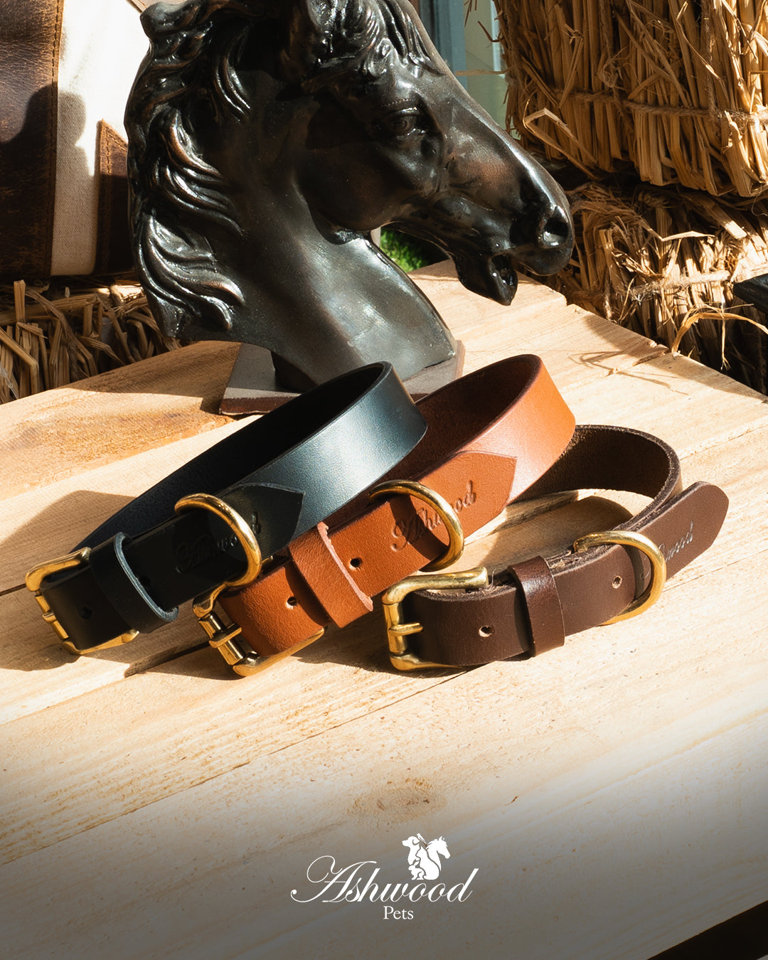 Leather Dog Collar- Signature Range