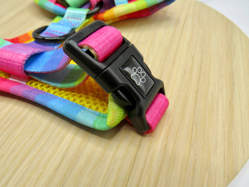Happy Days Dog Harness