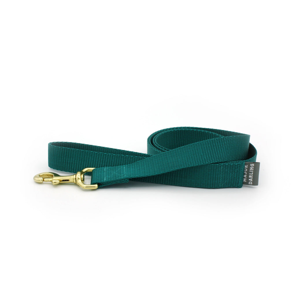 Basic Leash: Red / Standard (1" wide)