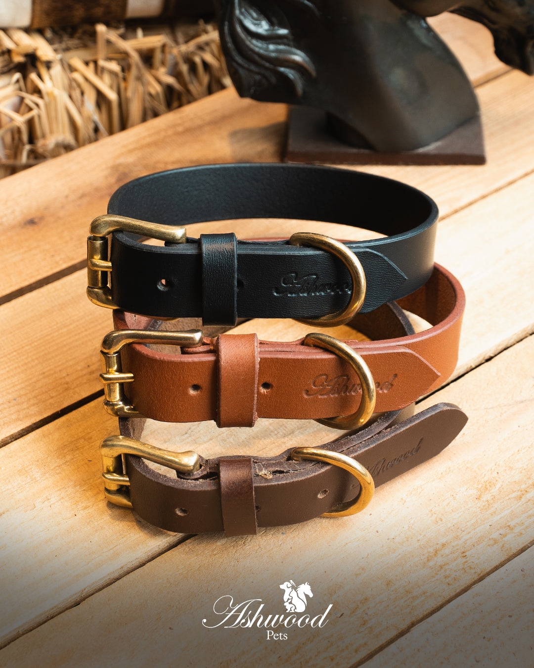Leather Dog Collar- Signature Range