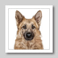 Alsatian -  Dog Greeting Card