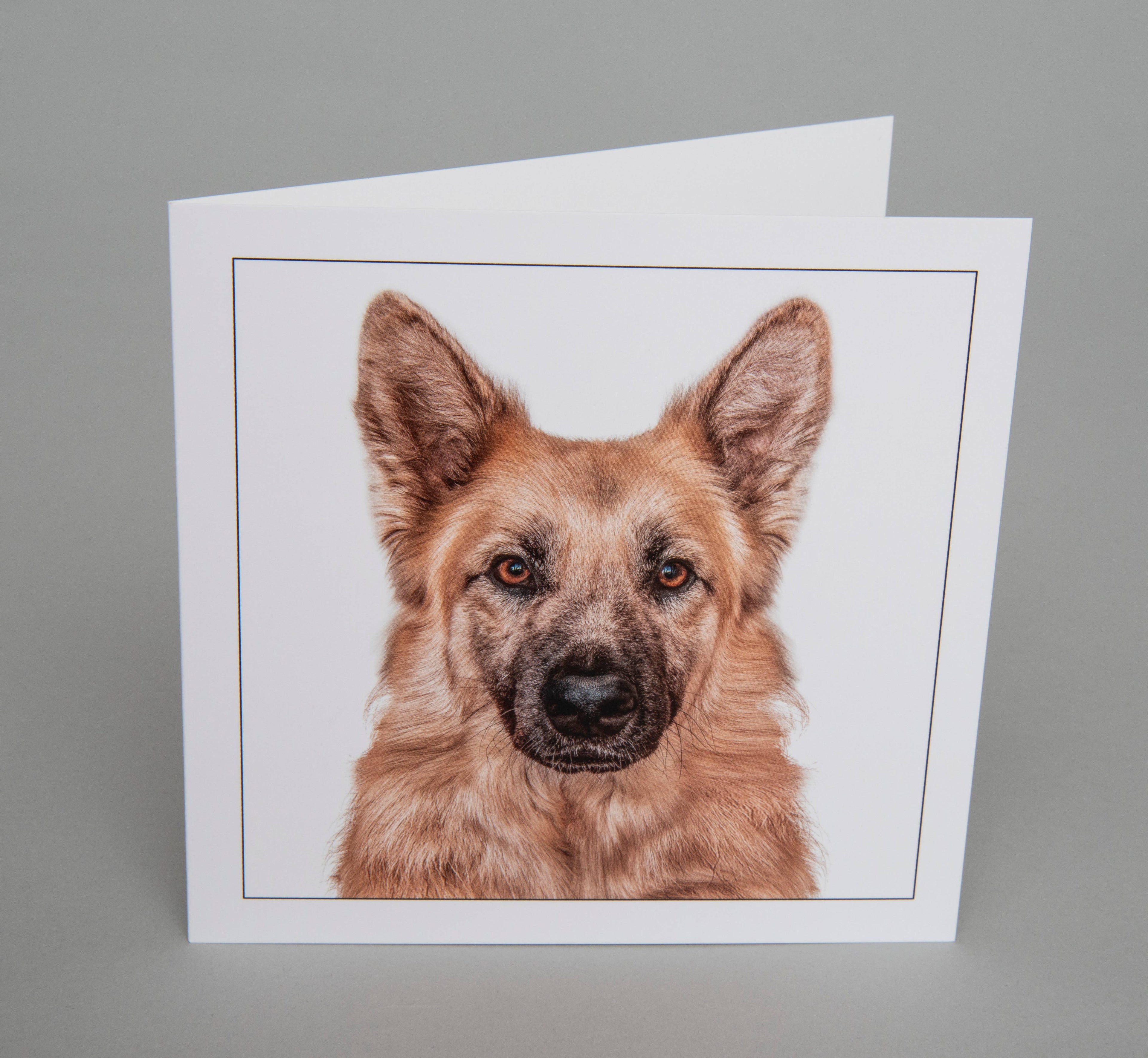 Alsatian -  Dog Greeting Card