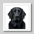 Labrador Black - Dog Greeting Card