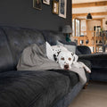 Dog & Puppy Blanket in Savanna Stone