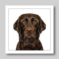 Labrador chocolate - Dog Greeting Card