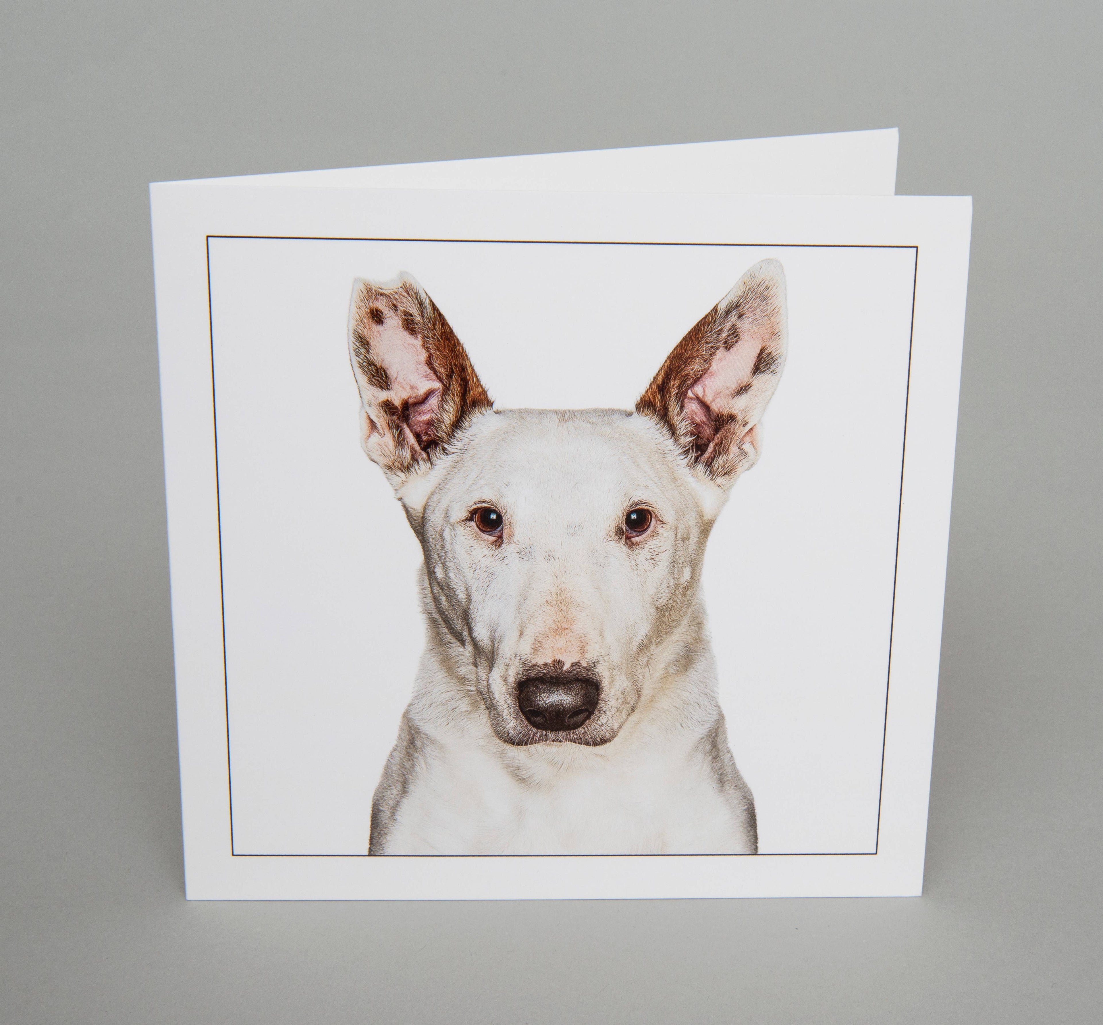English bull terrier - Dog Greeting Card