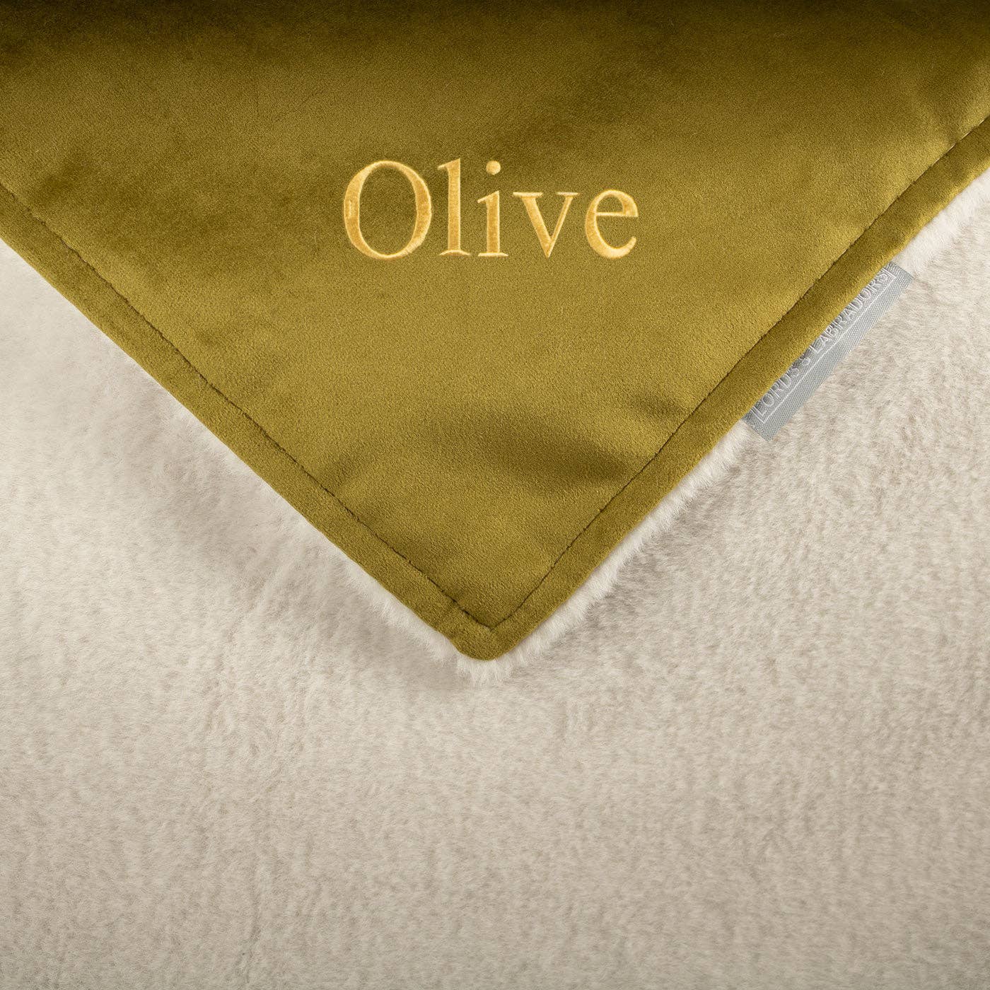 Dog & Puppy Blanket in Olive Velvet