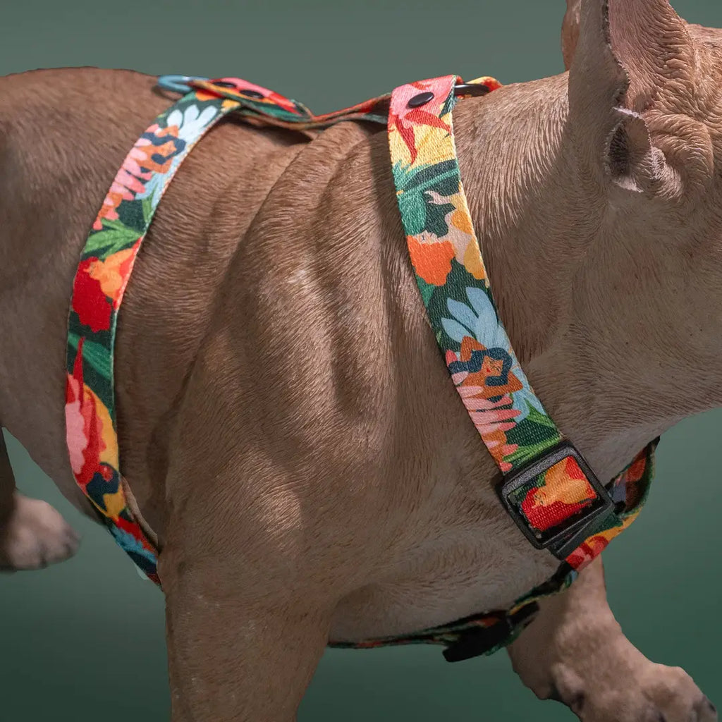 Loud and Proud Dog Harness