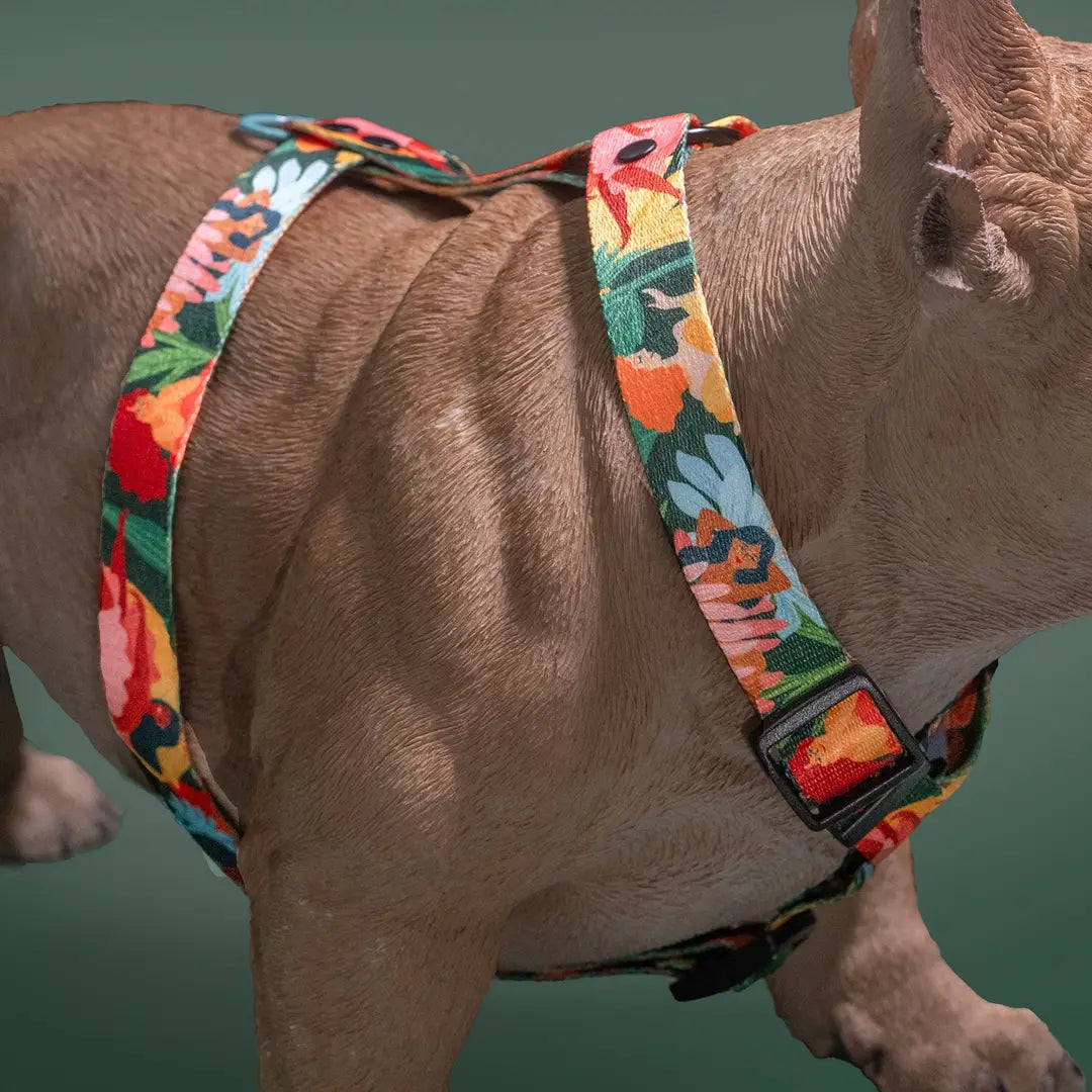 Loud and Proud Dog Harness