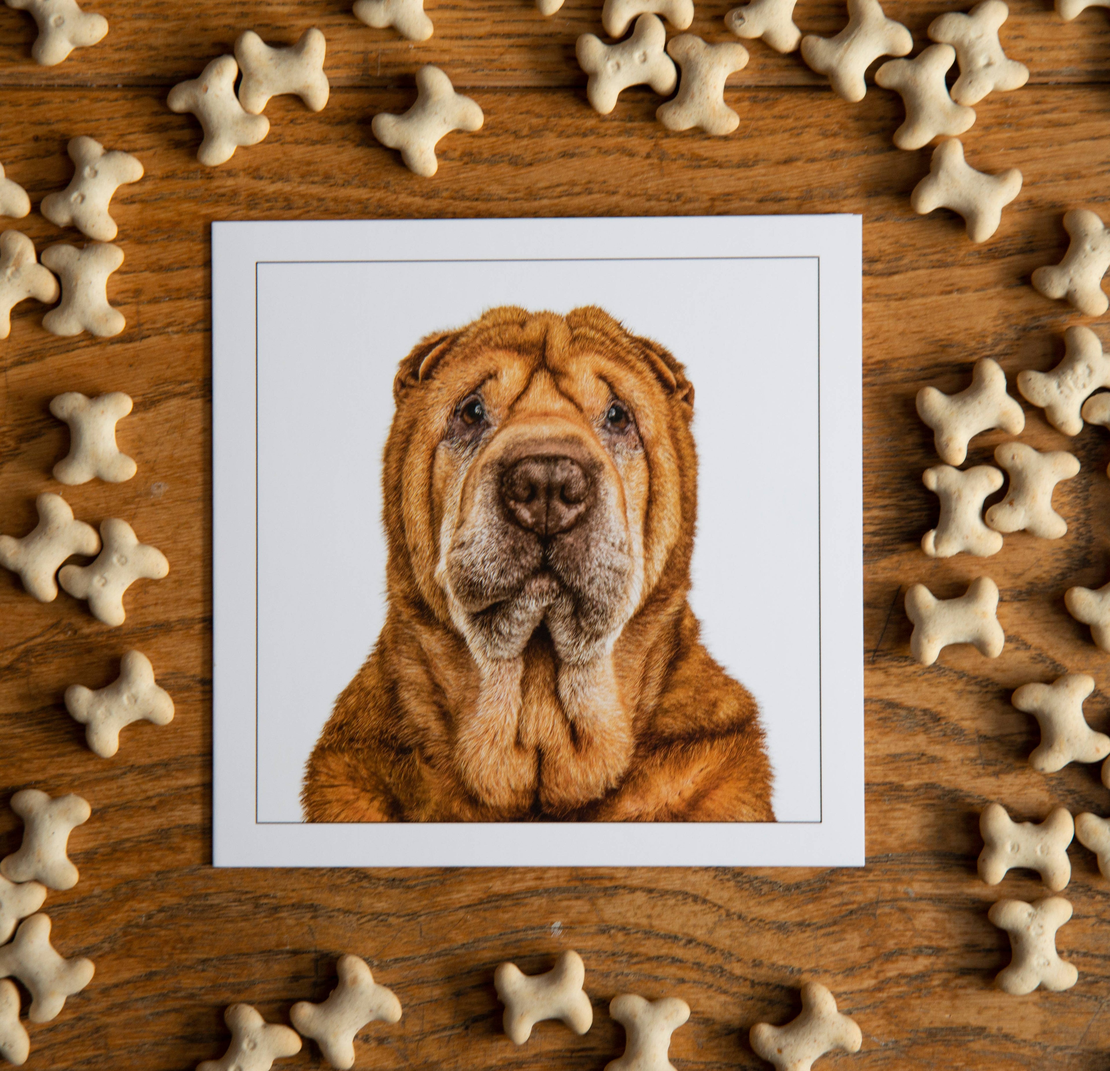 Shar pei - Dog Greeting Card