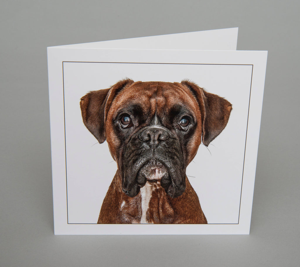 Boxer - Dog Greeting Card