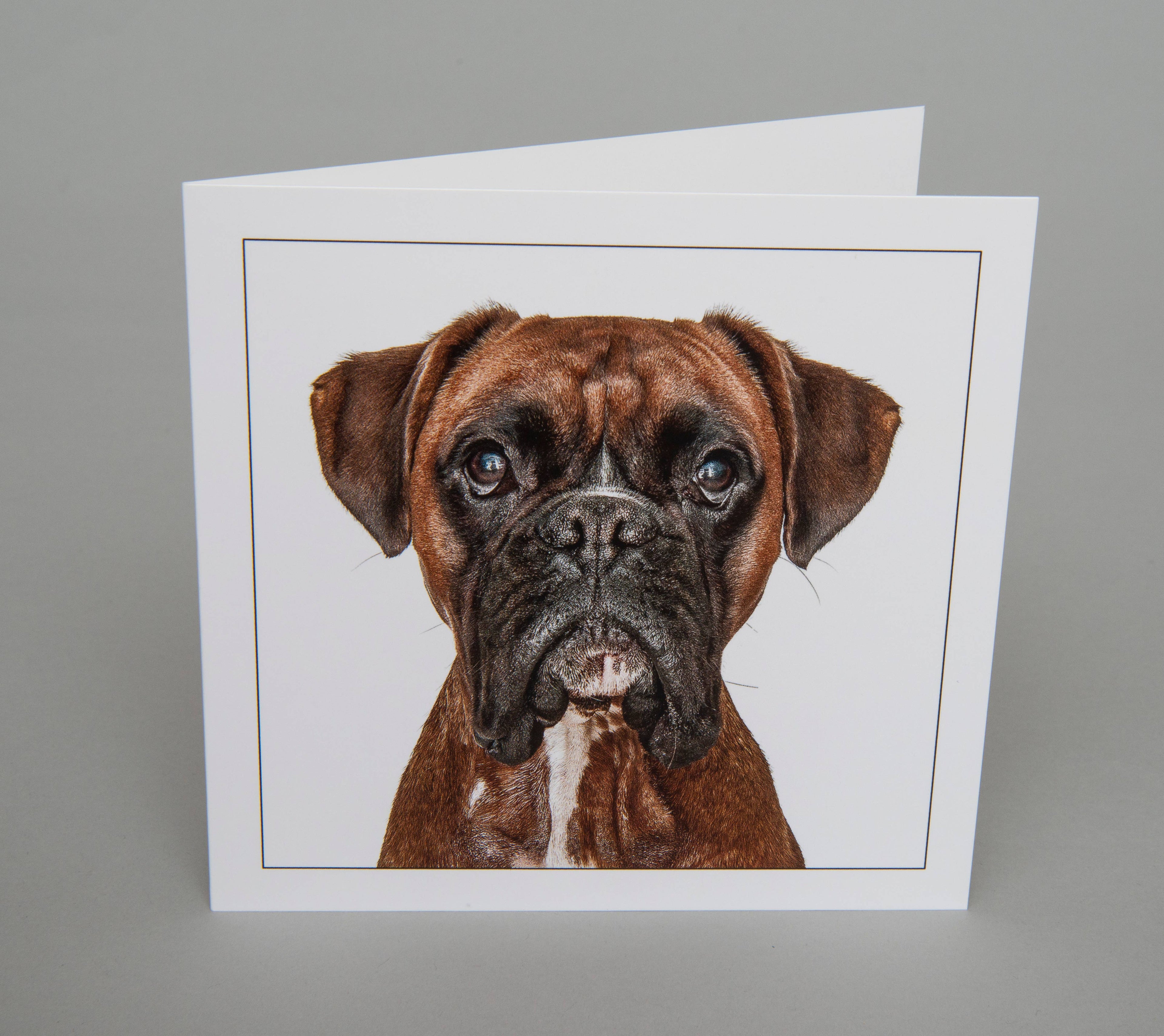 Boxer - Dog Greeting Card