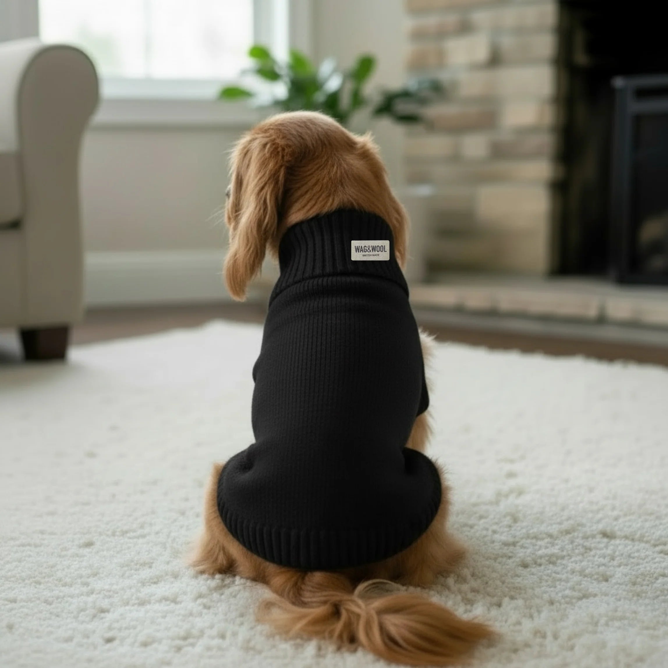 Black British Wool Dog Jumper