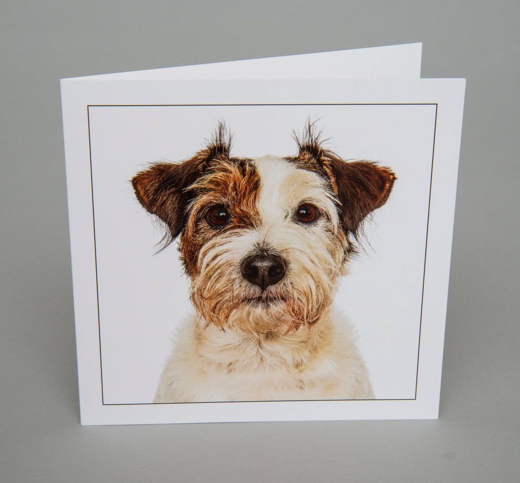 Patterdale Terrier - Dog Greeting Card
