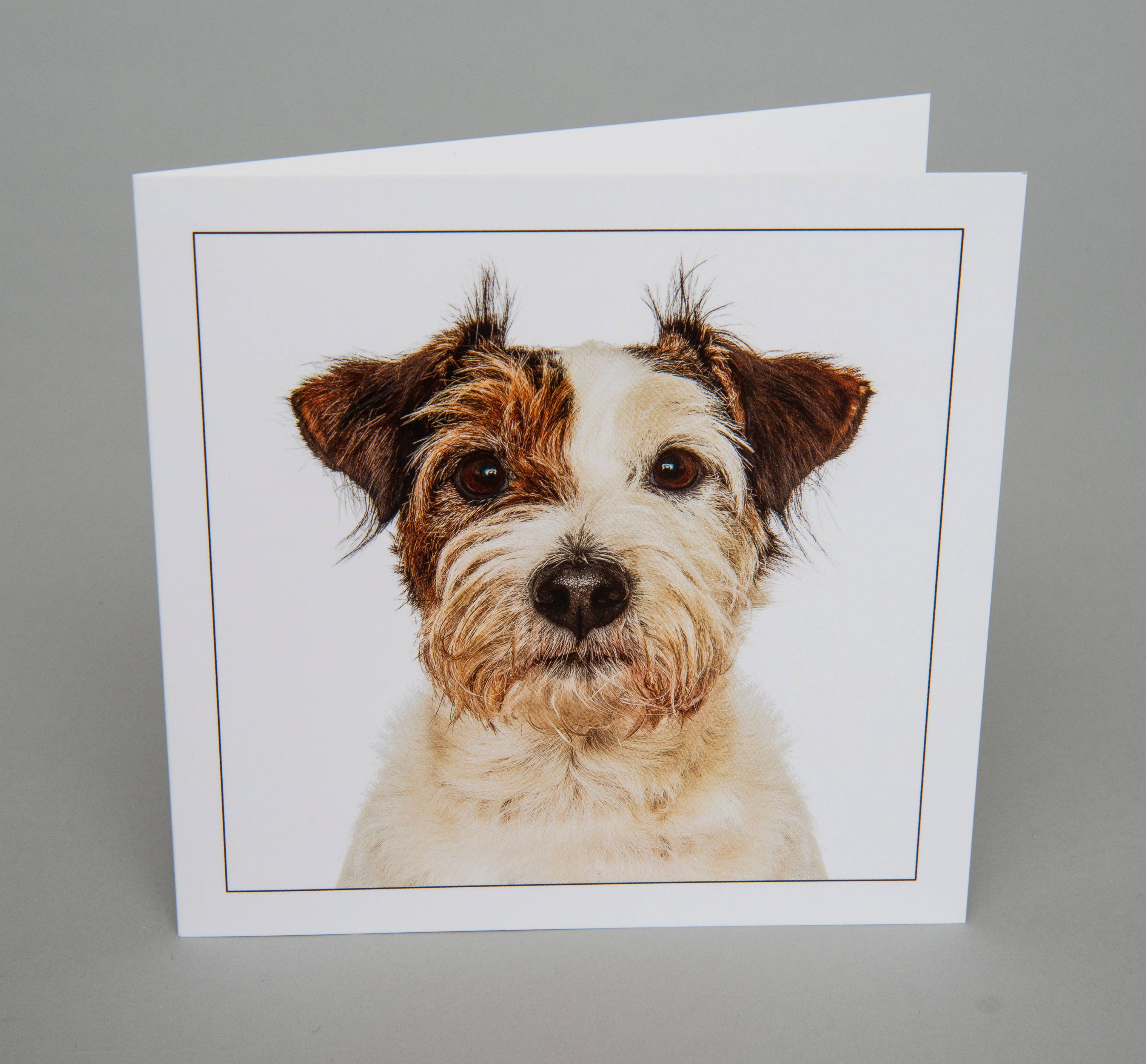Patterdale Terrier - Dog Greeting Card