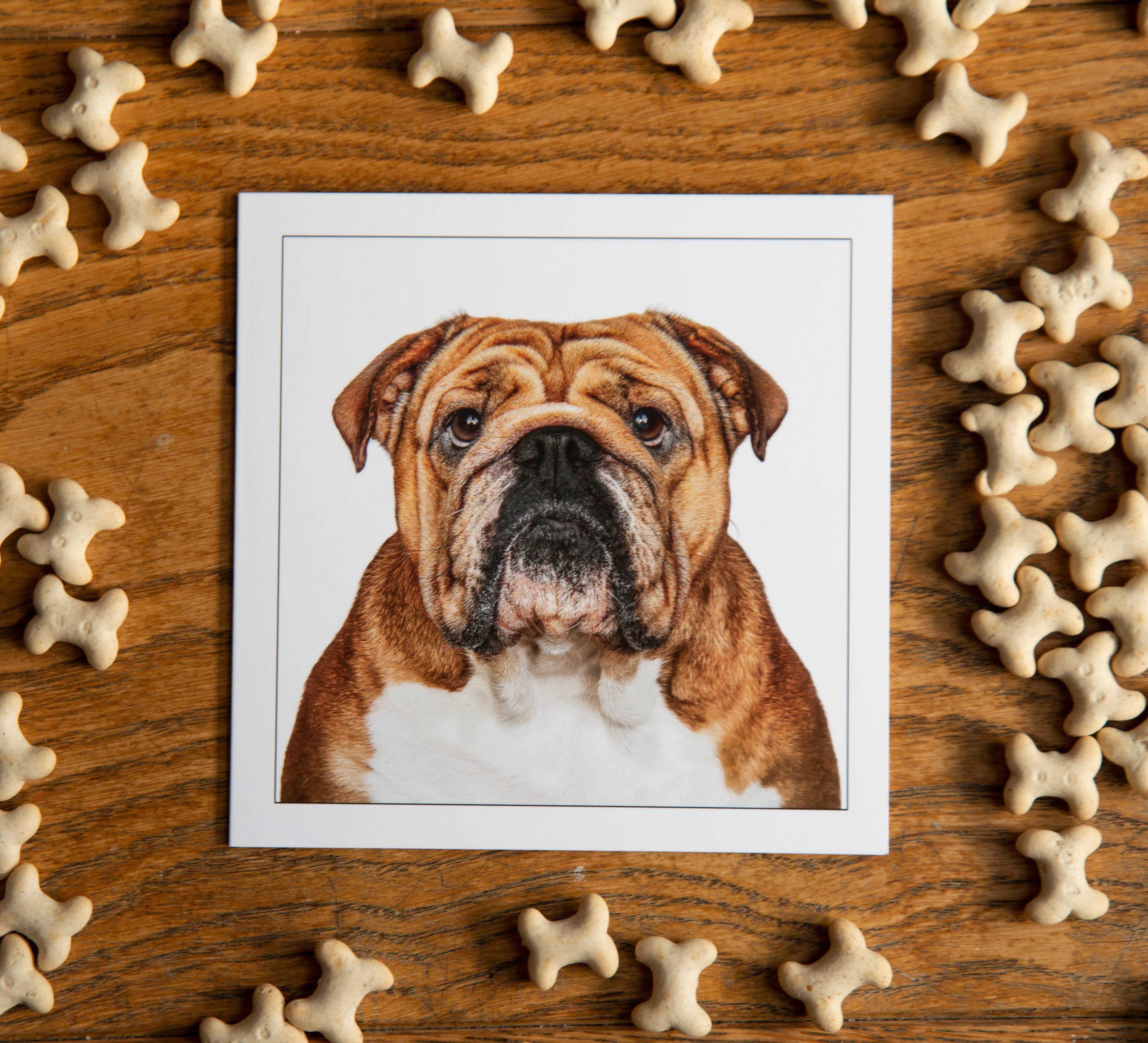Authentic English Bulldog - Dog Greeting Card