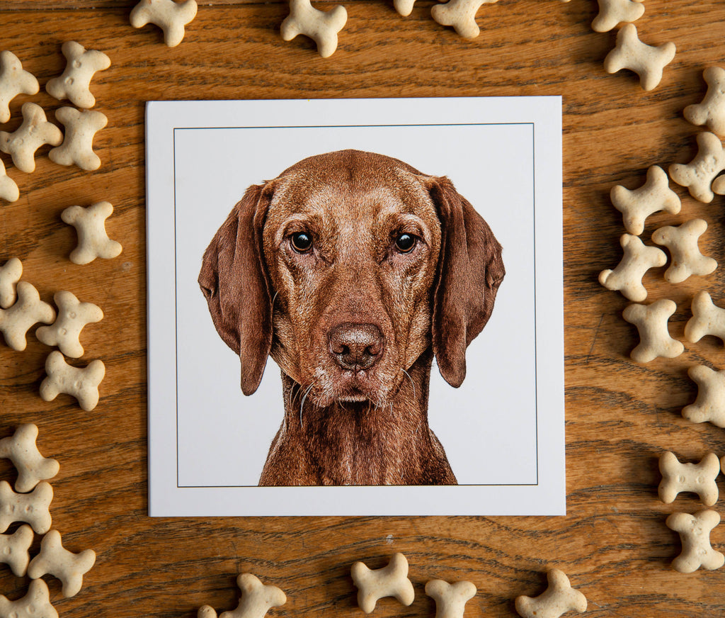 Vizsla - Dog Greeting Card
