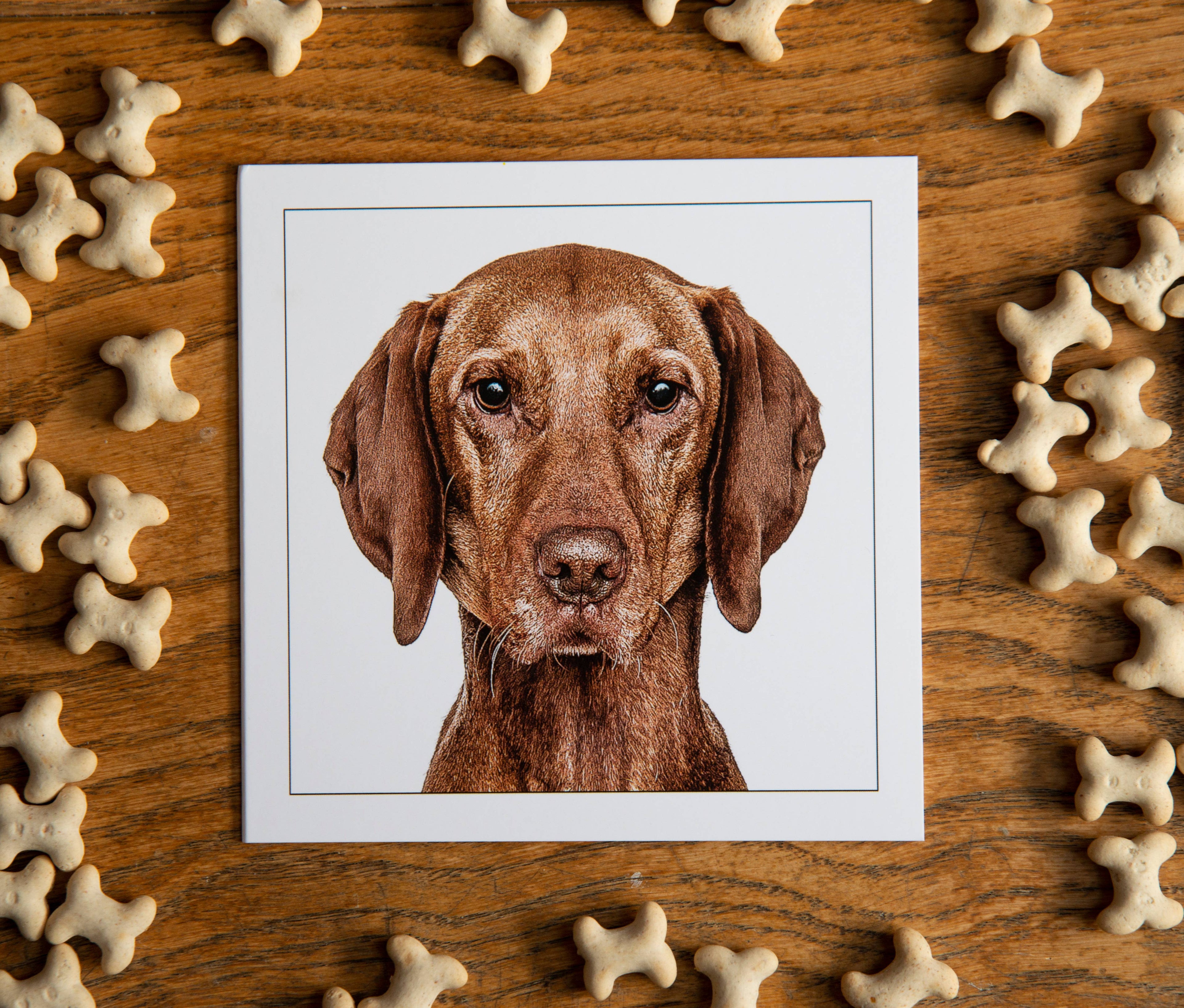 Vizsla - Dog Greeting Card