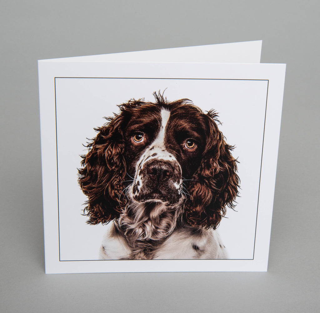 Cocker spaniel - Dog Greeting Card