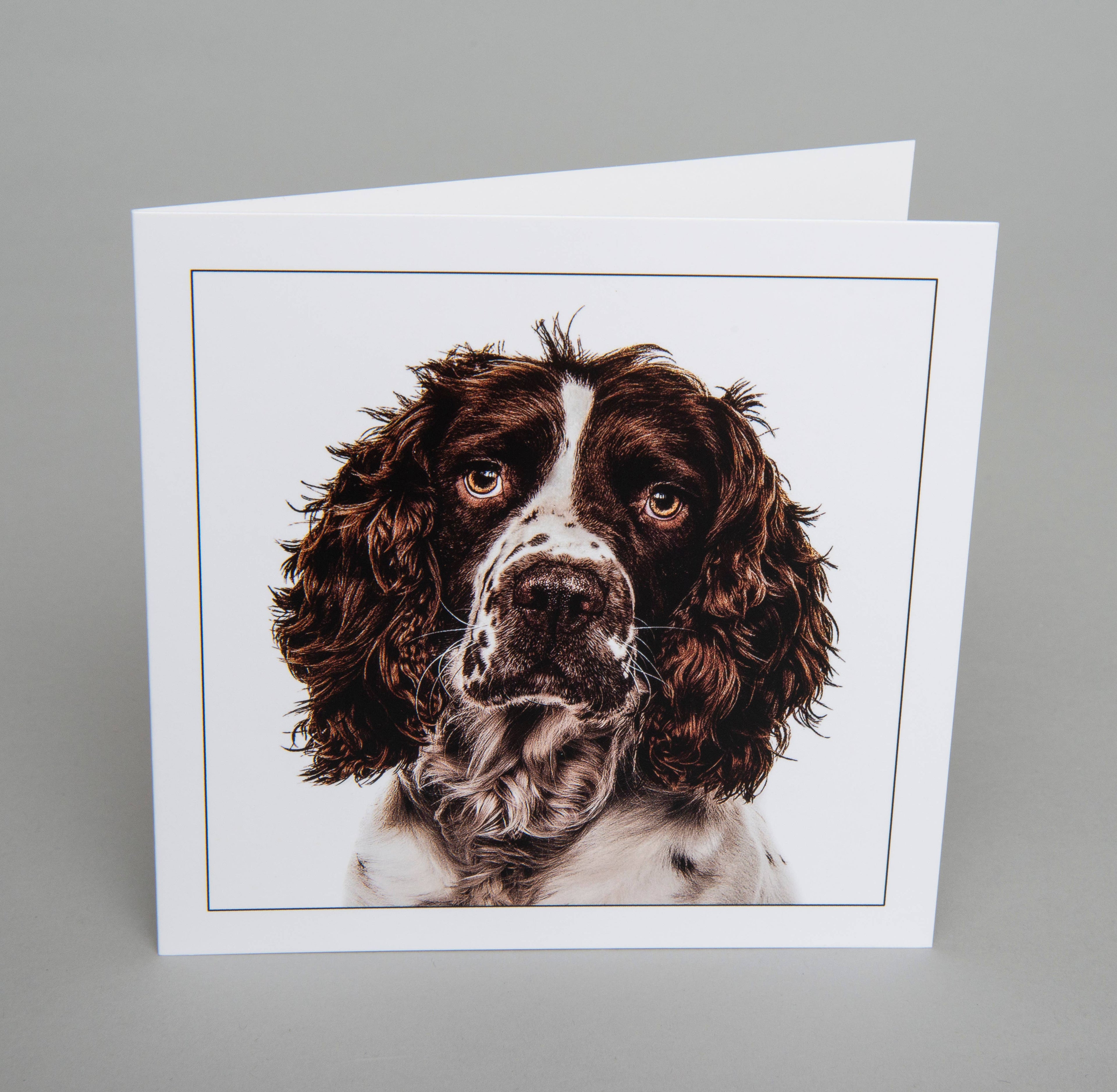 Cocker spaniel - Dog Greeting Card