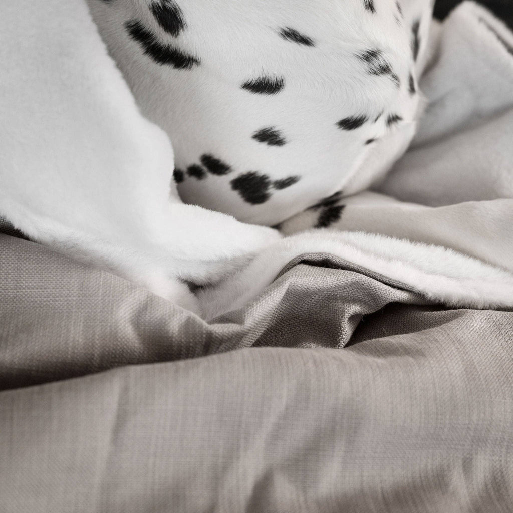 Dog & Puppy Blanket in Savanna Stone