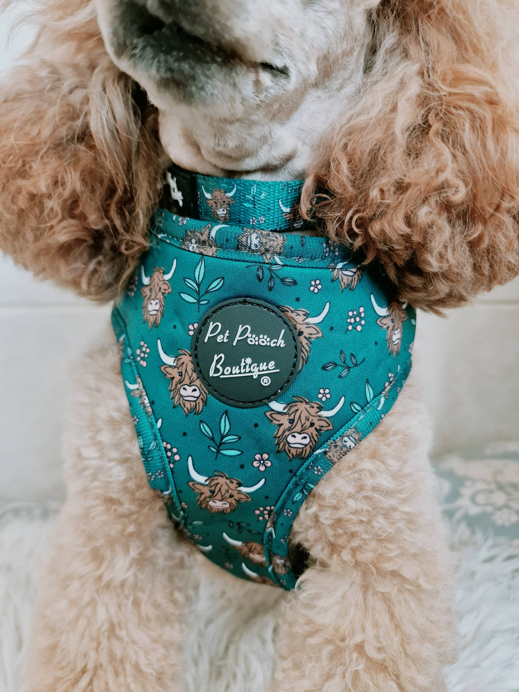 Happy Highland Cow Dog Collar - Size S-L (autumn/animals)