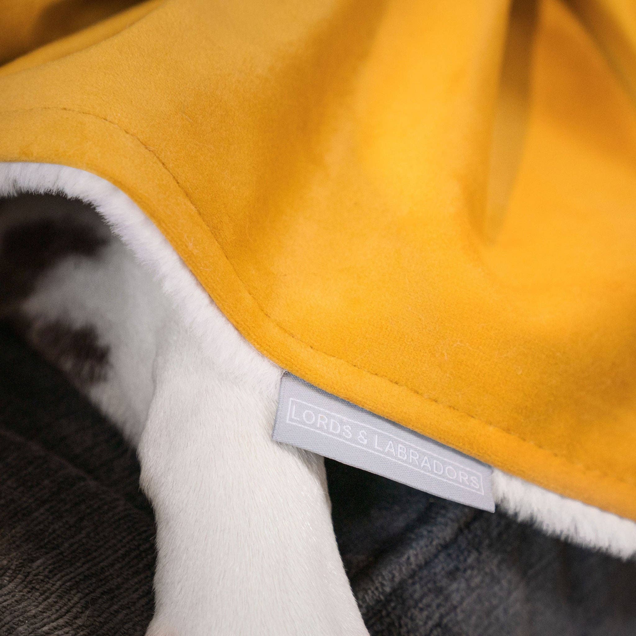 Dog & Puppy Blanket in Saffron Velvet