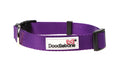 Dog Collar - Violet