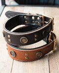 Leather Dog Collar - with studs K9C26