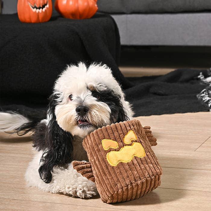 HugSmart Pet - Howloween Night | Haunted Tree